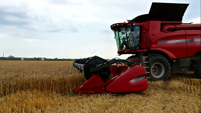 Harvester wheat