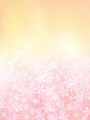 桜　ピンク　背景