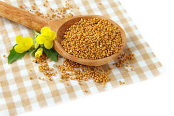 Mustard seeds in wooden spoon with mustard flower isolated