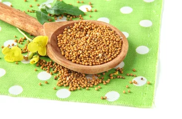 Foto op Canvas Mustard seeds in wooden spoon with mustard flower isolated © Africa Studio
