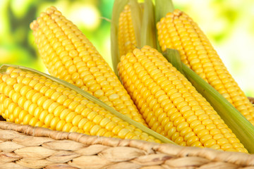 Crude corns in basket on nature background