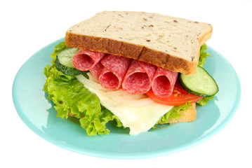 Tasty sandwich with salami sausage and vegetables