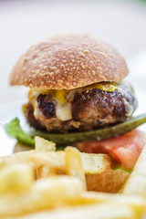 burger and potato chips