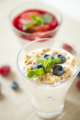 Pannacotta with wild berries and yogurt with blueberries, health