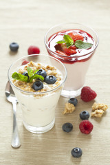 Pannacotta with wild berries and yogurt with blueberries, health