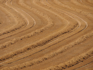 Frisch gemähtes Kornfeld