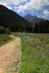 Sentier de promenade.