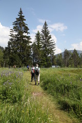 Promenade dans la nature.
