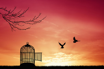 Silhouette de cage à oiseaux