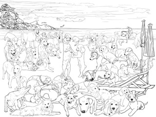 The pack of dog on the beach