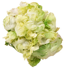 Foglie di insalata lattuga