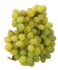 Uva bianca - White grape