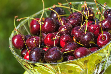 Cherries in bowl