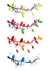 birds on tree in four seasons, vector set