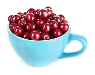 Sweet cherry in cup isolated on white