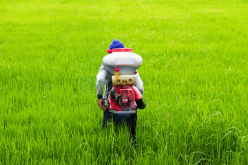 Obraz premium Farmers are sowing fertilizer