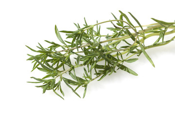 Weisse Seerose, Hever White,