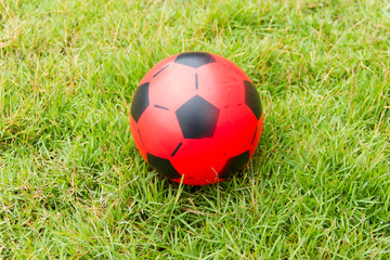 Fototapeta premium Red ball on the lawn