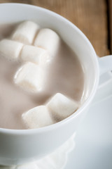 Cup of Hot Chocolate with marshmallows