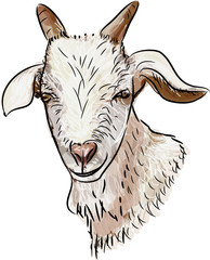 Ziege gemalt