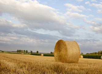 Strohballen