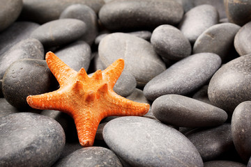 Fototapeta na wymiar Sea stones with orange starfish