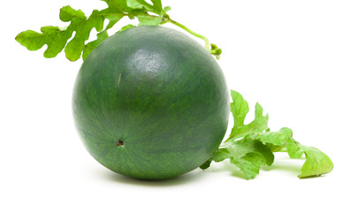watermelon with leaves on a white background close-up
