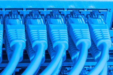 Fototapeta premium network cables connected to switch