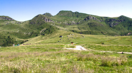 Fototapeta na wymiar Alpine plateau