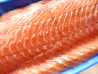 Lachsfilet