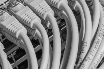Fototapeta premium network cables connected to switch