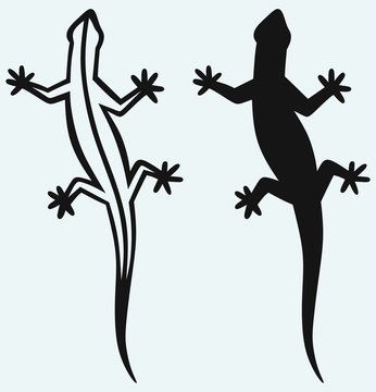 Silhouette lizard isolated on blue background