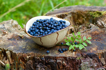 blueberries closeup