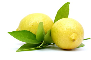 Lemon with leaves isolated on white background