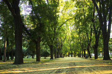 park