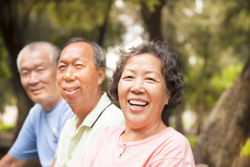 happy asian seniors in the park