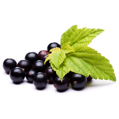 Black currants isolated on white