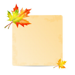 background with autumn leaves and sheet of paper into a cell.aut