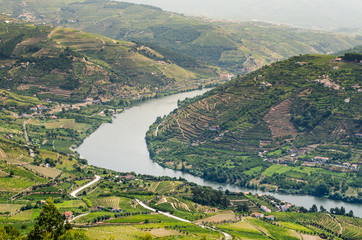 Fototapeta na wymiar Dolina Douro vineyars
