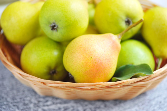 Freshly harvested pears in a little basket