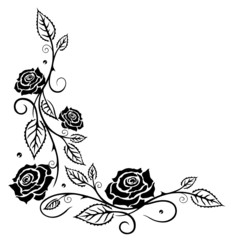 Ranke, Rosen, Rosenranke, Blumen, Blüten, schwarz