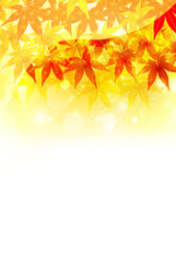 もみじ　紅葉　背景