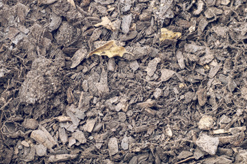 Soil texture closeup