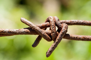 Rusty barbed wire on green background closeup