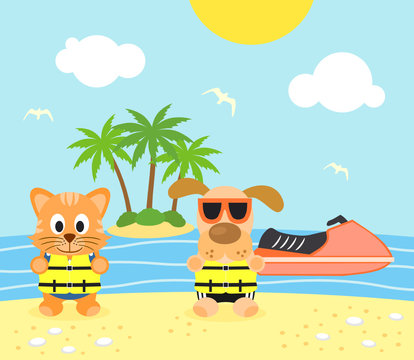 Summer background with funny dog and cat on the beach