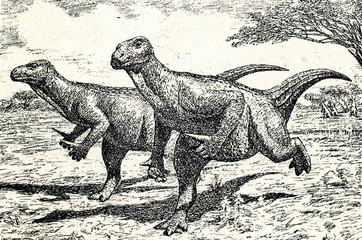 Iguanodon bernissartensis