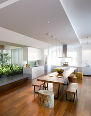 Loft with Atrium (focused)