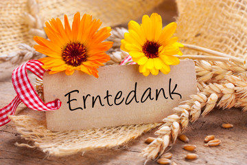 Erntedank! Schild mit Text und Deko