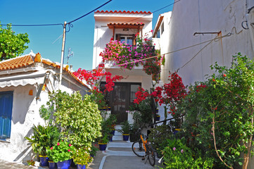 Fototapeta na wymiar Greckie domy z kwiatami na Samos