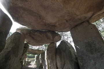 Photo sur Plexiglas Monument artistique neolitic megalith dolmen - Carnac in Brittany, France